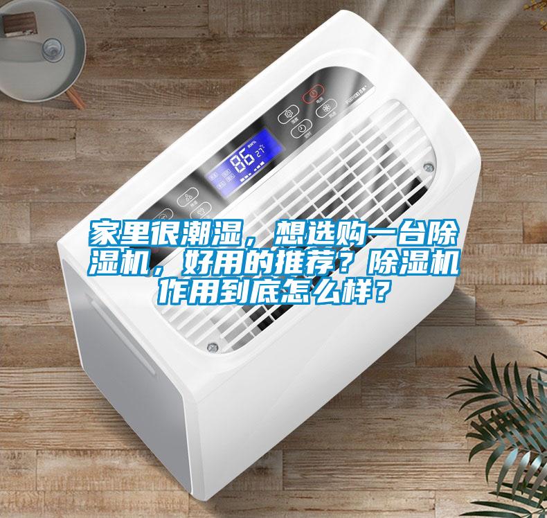 家里很潮濕，想選購一臺(tái)除濕機(jī)，好用的推薦？除濕機(jī)作用到底怎么樣？
