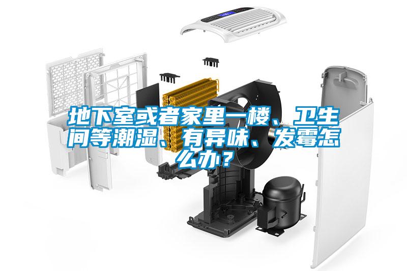 地下室或者家里一樓、衛生間等潮濕、有異味、發霉怎么辦？