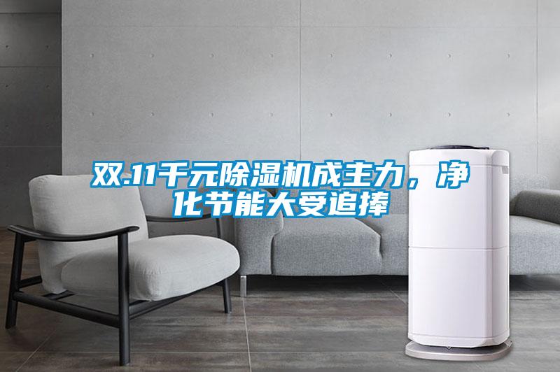 雙.11千元除濕機成主力，凈化節能大受追捧