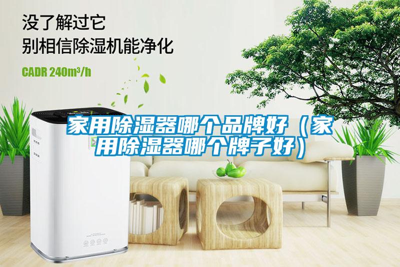 家用除濕器哪個品牌好(家用除濕器哪個牌子好)