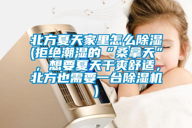北方夏天家里怎么除濕(拒絕潮濕的“桑拿天”，想要夏天干爽舒適，北方也需要一臺除濕機)