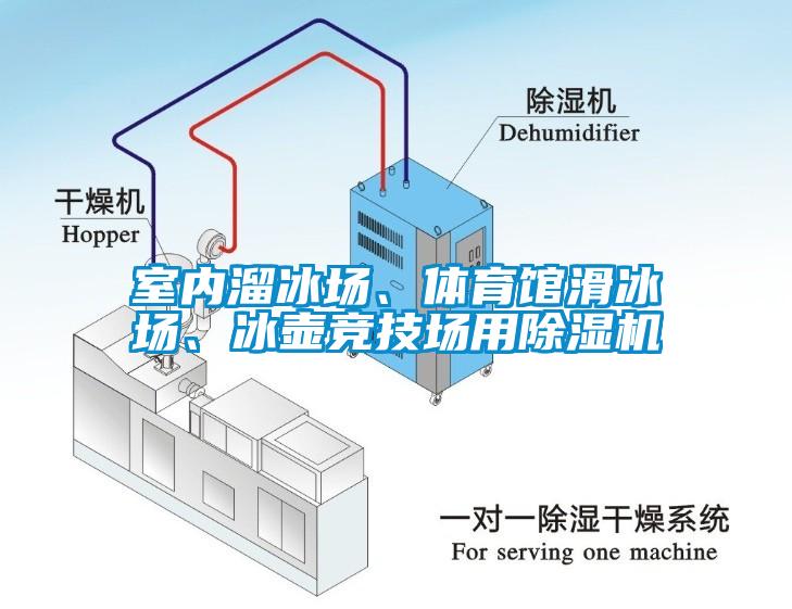 室內(nèi)溜冰場(chǎng)、體育館滑冰場(chǎng)、冰壺競(jìng)技場(chǎng)用除濕機(jī)