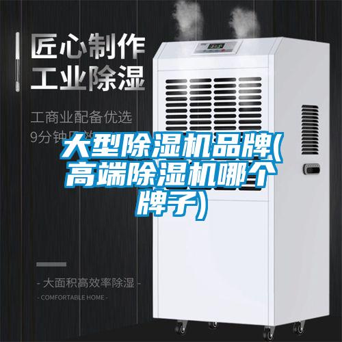 大型除濕機(jī)品牌(高端除濕機(jī)哪個牌子)