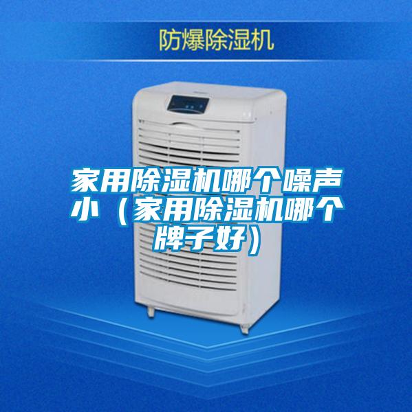 家用除濕機(jī)哪個噪聲小（家用除濕機(jī)哪個牌子好）