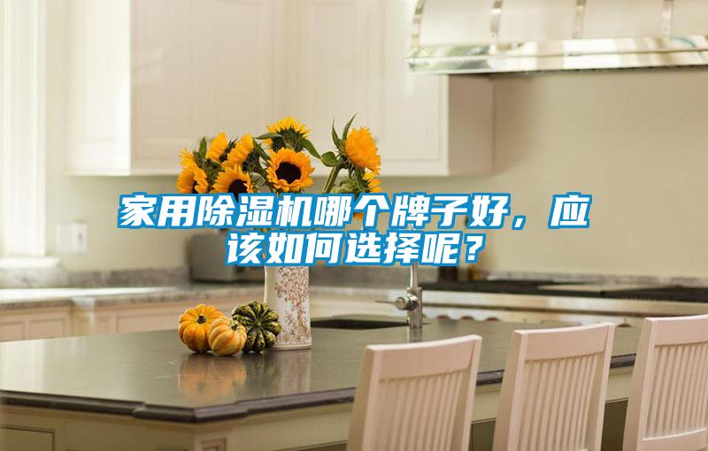 家用除濕機(jī)哪個牌子好，應(yīng)該如何選擇呢？
