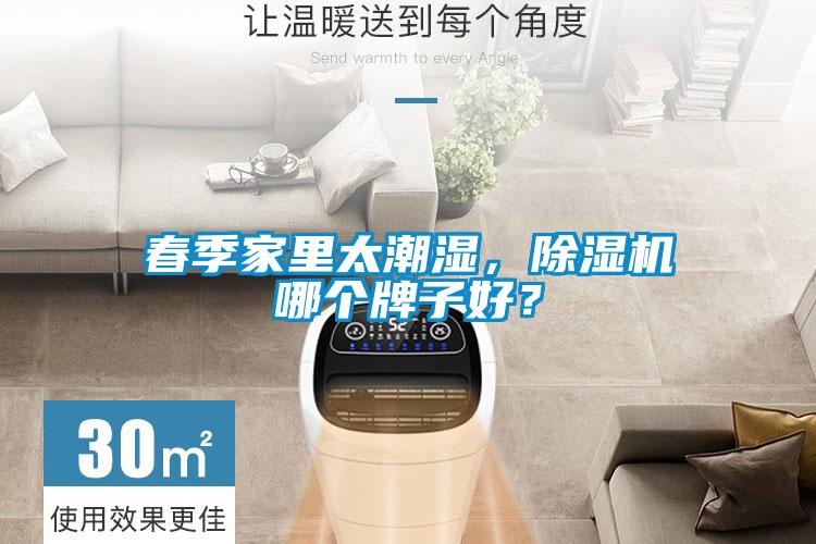 春季家里太潮濕，除濕機(jī)哪個(gè)牌子好？