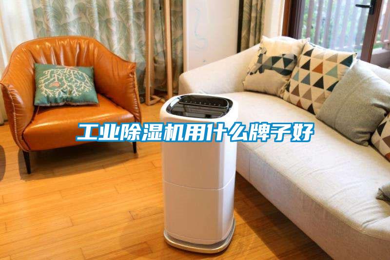 工業除濕機用什么牌子好