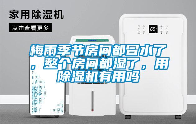 梅雨季節房間都冒水了，整個房間都濕了，用除濕機有用嗎