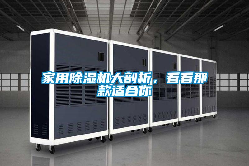 家用除濕機大剖析,看看那款適合你