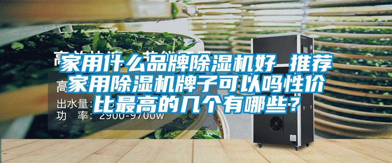 家用什么品牌除濕機好 推薦家用除濕機牌子可以嗎性價比最高的幾個有哪些？