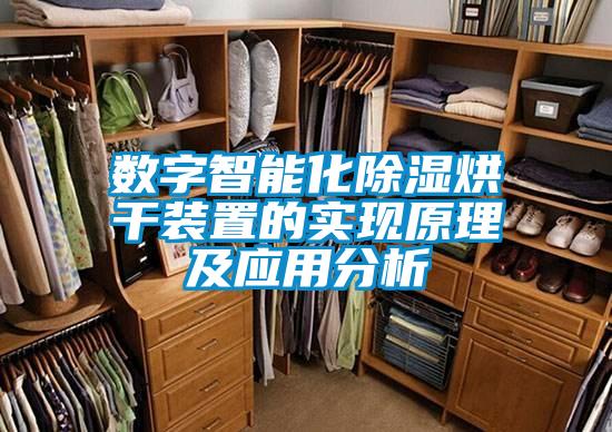 數(shù)字智能化除濕烘干裝置的實現(xiàn)原理及應用分析