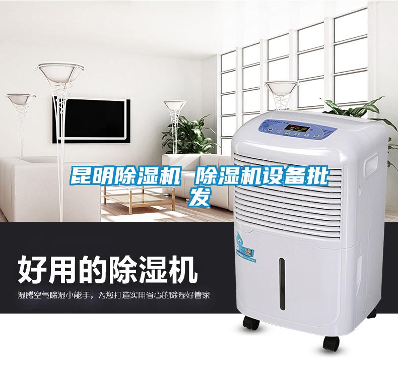 昆明除濕機 除濕機設備批發