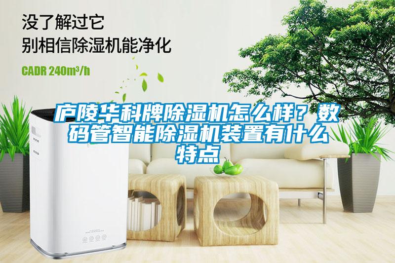 廬陵華科牌除濕機怎么樣？數碼管智能除濕機裝置有什么特點