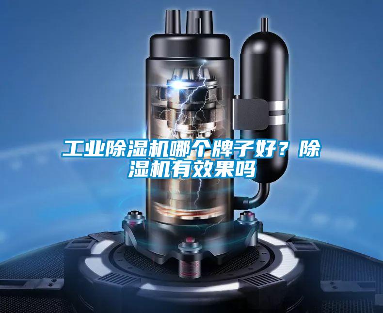 工業除濕機哪個牌子好?除濕機有效果嗎