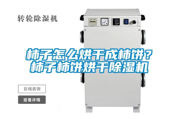 柿子怎么烘干成柿餅？柿子柿餅烘干除濕機