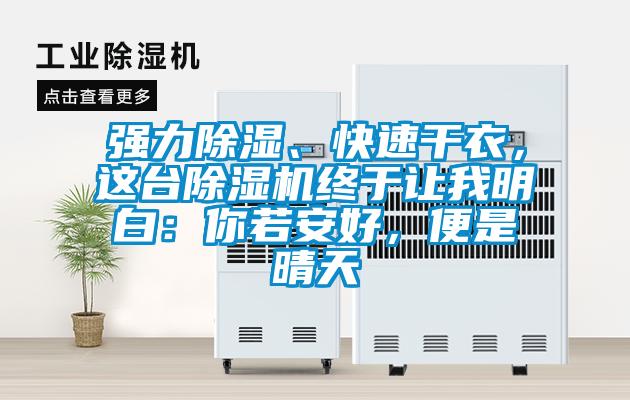 強(qiáng)力除濕、快速干衣，這臺(tái)除濕機(jī)終于讓我明白：你若安好，便是晴天