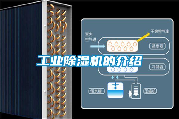工業除濕機的介紹