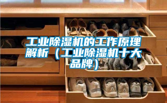 工業除濕機的工作原理解析(工業除濕機十大品牌)
