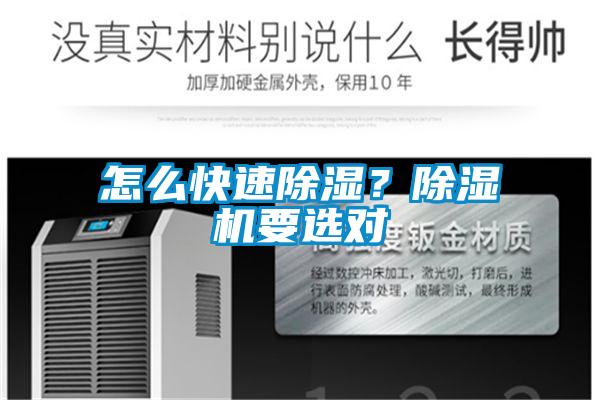 怎么快速除濕？除濕機要選對