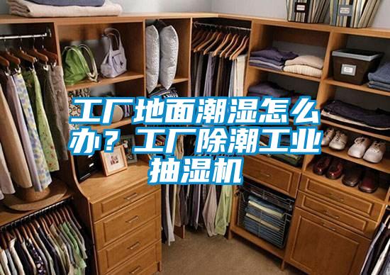 工廠地面潮濕怎么辦?工廠除潮工業(yè)抽濕機