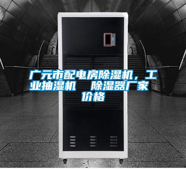 廣元市配電房除濕機，工業抽濕機  除濕器廠家 價格