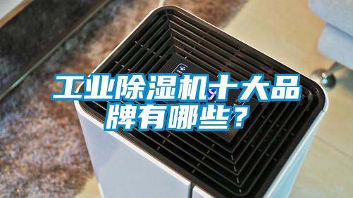 工業除濕機十大品牌有哪些？