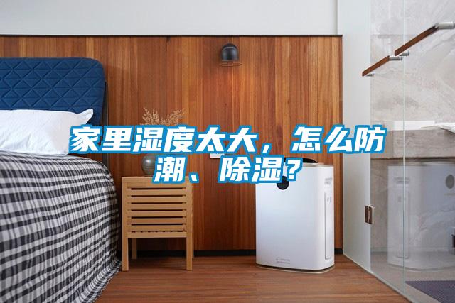 家里濕度太大，怎么防潮、除濕？
