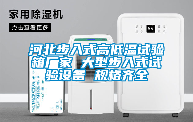 河北步入式高低溫試驗箱廠家 大型步入式試驗設備 規格齊全