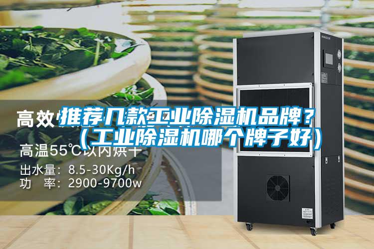 推薦幾款工業除濕機品牌？（工業除濕機哪個牌子好）