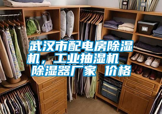 武漢市配電房除濕機(jī)，工業(yè)抽濕機(jī)  除濕器廠家 價(jià)格