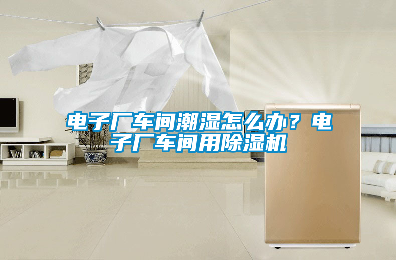 電子廠車間潮濕怎么辦？電子廠車間用除濕機