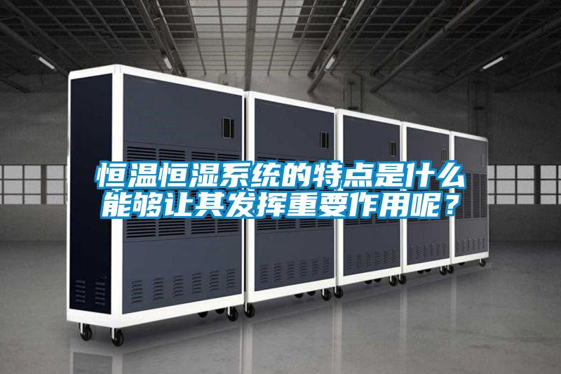 恒溫恒濕系統的特點是什么能夠讓其發揮重要作用呢？