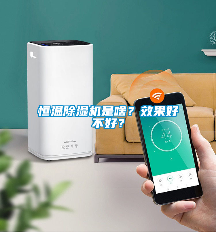 恒溫除濕機是啥？效果好不好？