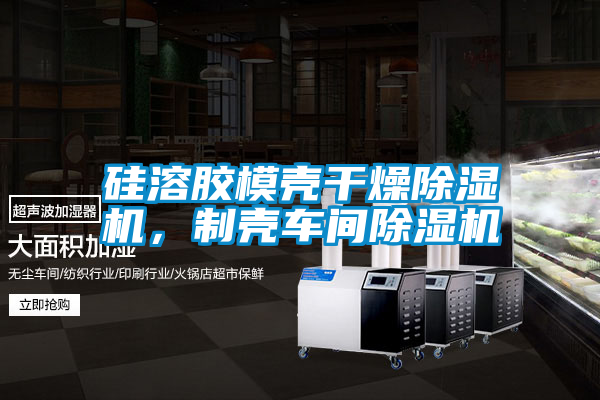 硅溶膠模殼干燥除濕機，制殼車間除濕機