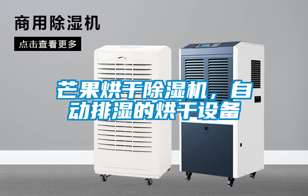 芒果烘干除濕機，自動排濕的烘干設備
