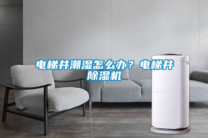 電梯井潮濕怎么辦？電梯井除濕機(jī)
