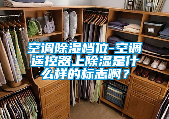 空調除濕檔位-空調遙控器上除濕是什么樣的標志??？