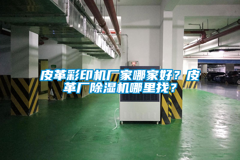 皮革彩印機廠家哪家好？皮革廠除濕機哪里找？