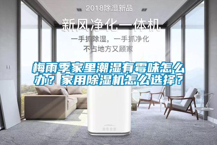 梅雨季家里潮濕有霉味怎么辦？家用除濕機怎么選擇？
