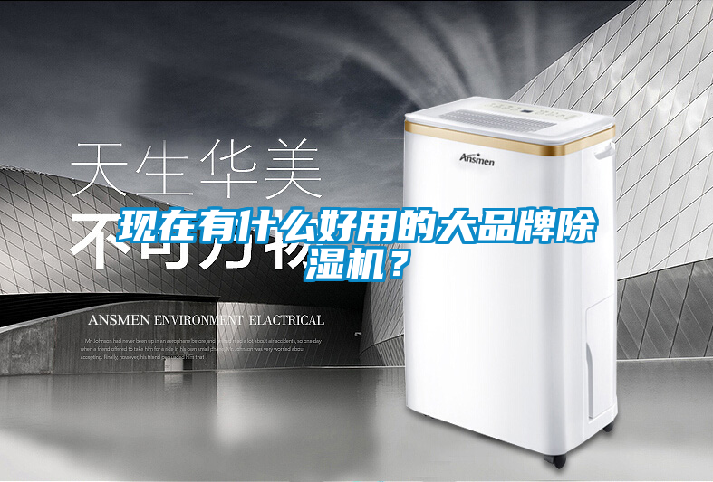現在有什么好用的大品牌除濕機？