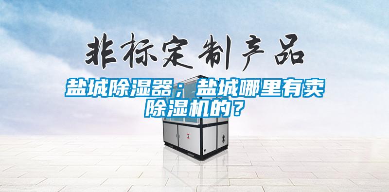 鹽城除濕器；鹽城哪里有賣除濕機(jī)的？