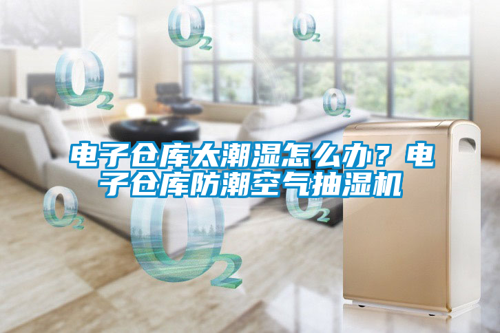 電子倉庫太潮濕怎么辦？電子倉庫防潮空氣抽濕機