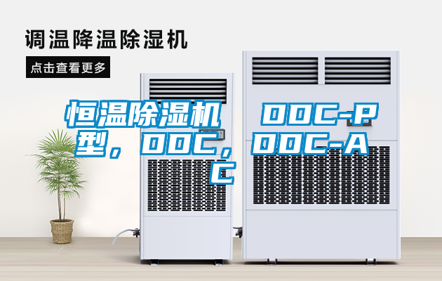 恒溫除濕機(jī)  DDC-P型，DDC，DDC-AC