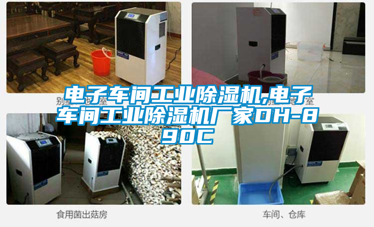 電子車間工業除濕機,電子車間工業除濕機廠家DH-890C