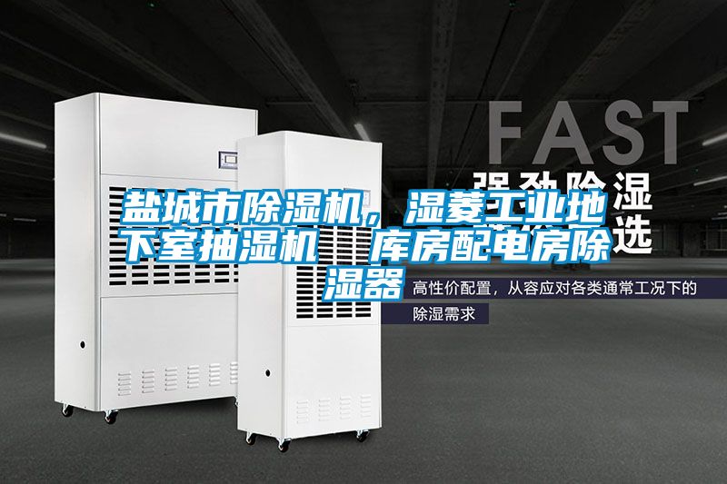 鹽城市除濕機，濕菱工業(yè)地下室抽濕機  庫房配電房除濕器