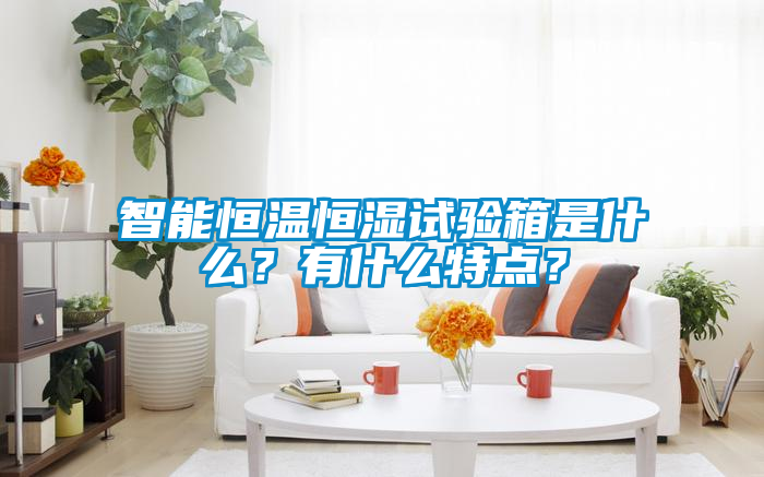 智能恒溫恒濕試驗箱是什么？有什么特點？