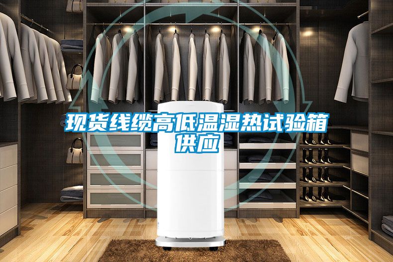 現貨線纜高低溫濕熱試驗箱供應