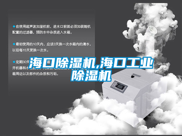 ?？诔凉駲C,海口工業除濕機