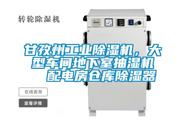 甘孜州工業(yè)除濕機(jī)，大型車間地下室抽濕機(jī)  配電房倉(cāng)庫(kù)除濕器