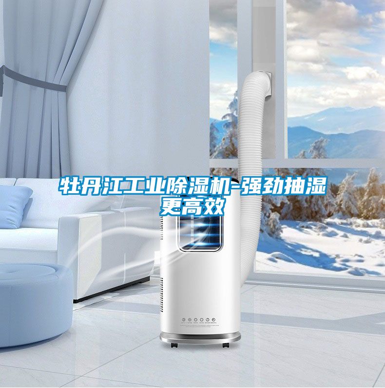 牡丹江工業除濕機-強勁抽濕更高效